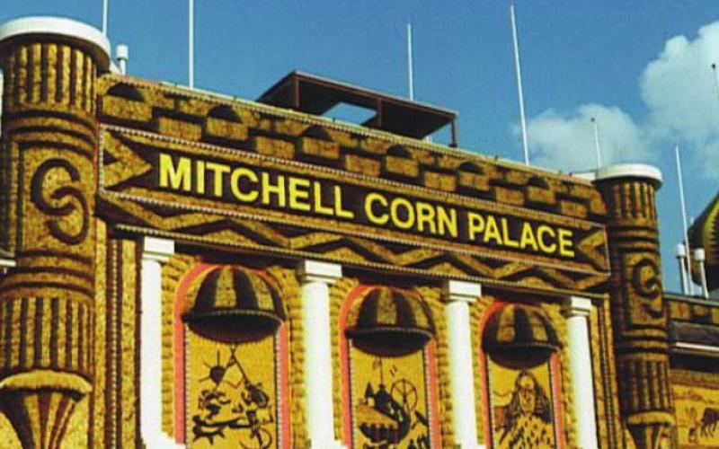 The entire exterior is covered in murals at the corniest place in the world.