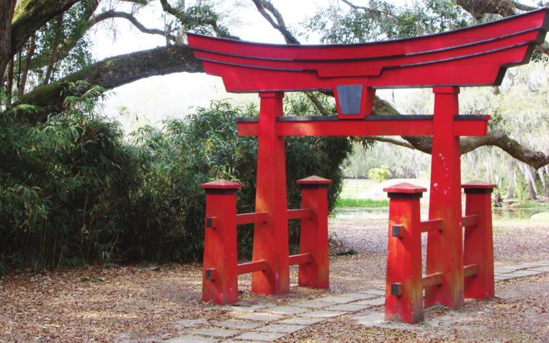 A torii gate marks the trail through the gardens to the Buddha.