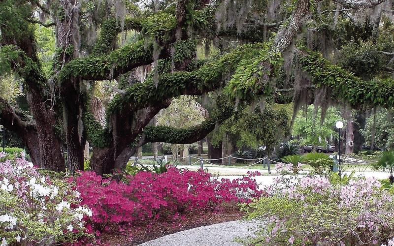 Georgia in the springtime can be quite lovely.