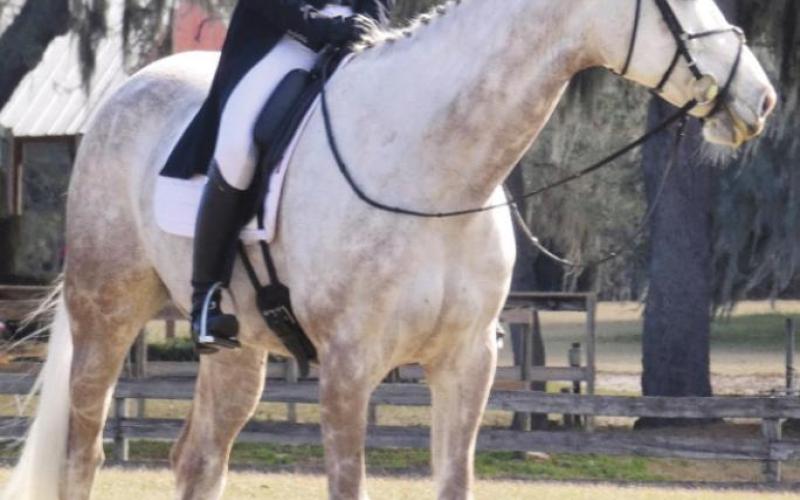 Participants in equestrian events can look elegant even when just hanging around doing nothing.