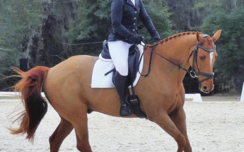 Dressage means “putting the horse through his paces” to the satisfaction of highly critical judges.