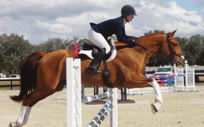 Flying horses didn’t seem like much of an exaggeration.