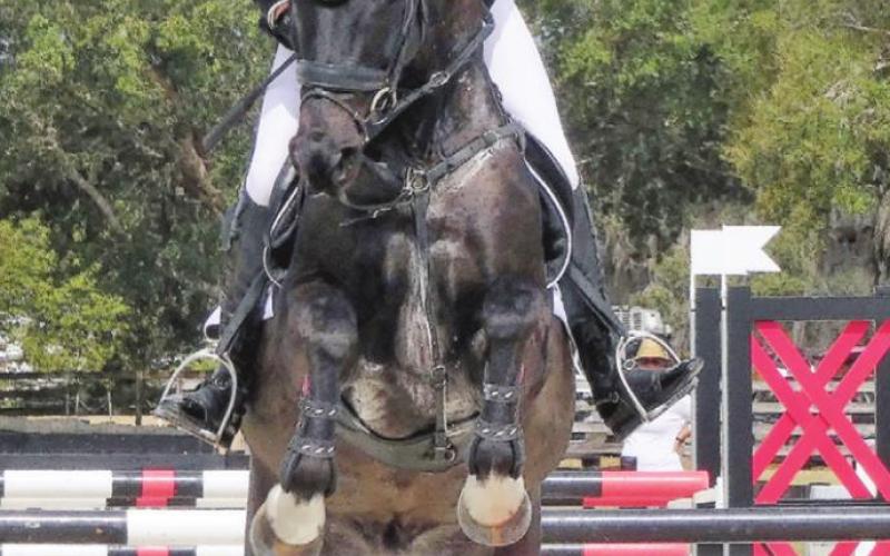 We noticed that the more experienced riders and horses were already looking ahead to the next jump before even clearing the current one.