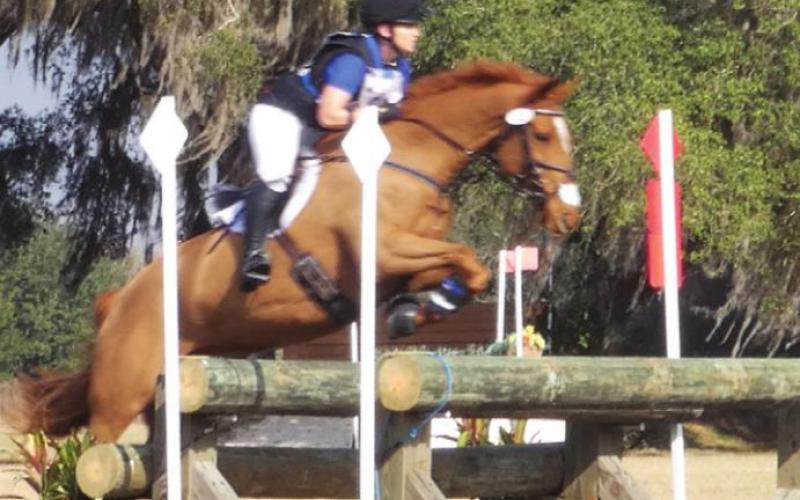 Those lengths of utility poles are not going to fall off if the horse catches a hoof. It takes nerve for horse and rider to approach at full gallop.