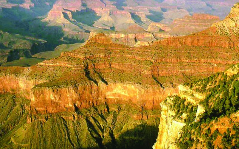 We prefer the quieter North Rim of the Grand Canyon. When the park campground is full, we stay just outside in the Kaibab National Forest.