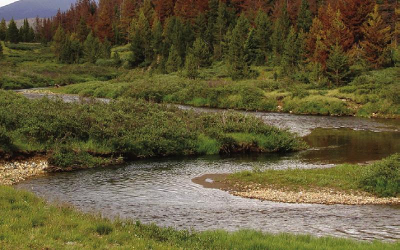 One of our best days fishing was in the headwaters of the Cache la Poudre River within hiking distance of Rocky Mountain National Park. Assuming, of course, you don’t mind hiking 6 miles uphill. Both ways.