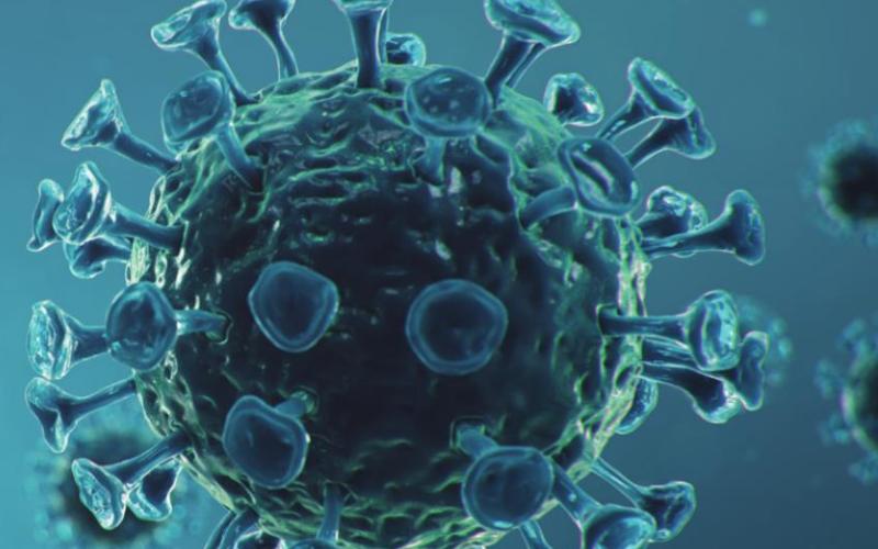 UTMC among first hospitals participating in national COVID-19 drug study