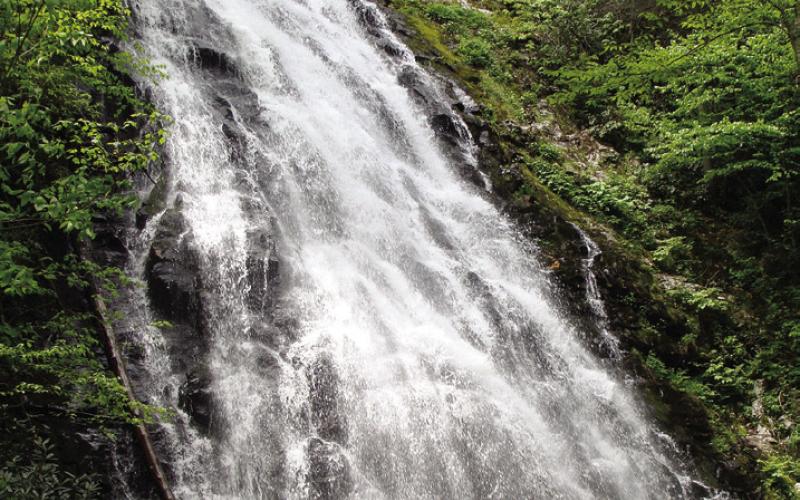 Crabtree Falls is a pleasant walk downhill when shade-loving spring wildflowers are in bloom.