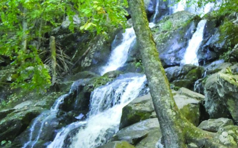 One of our favorite walks from Big Meadows is down to Dark Hollow Falls.