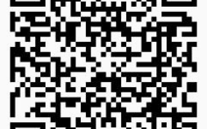 Alt Text for Image