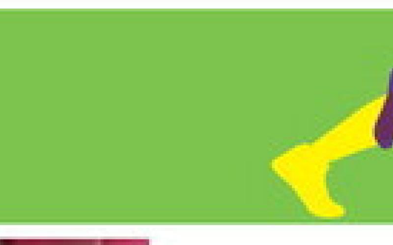 Alt Text for Image