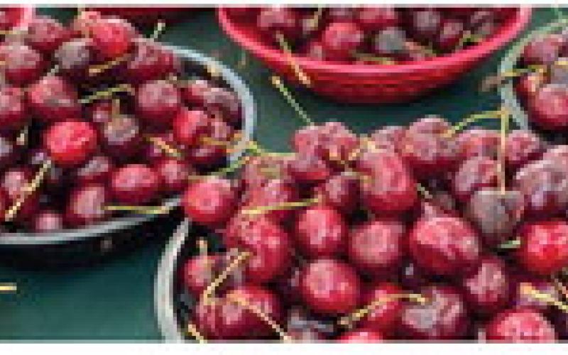 Benefits of Cherries