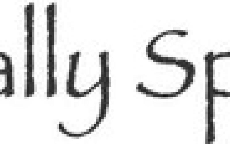 Alt Text for Image