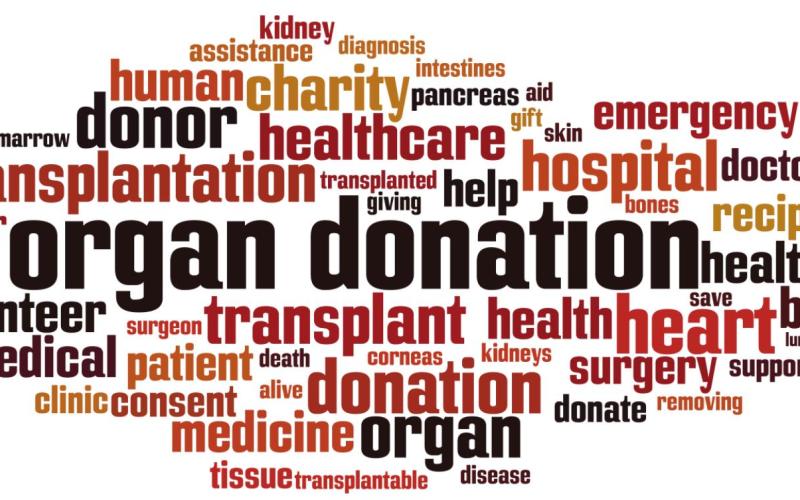 No greater gift: organ and tissue donation