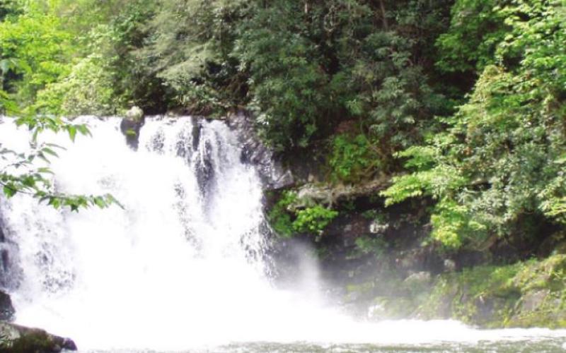 Abrams Falls is one of our favorite hikes in the Smokies.