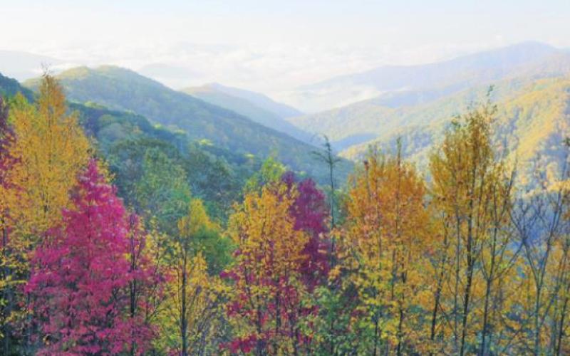 Fall arrives at different times in the Smokies depending on the elevation. Newfound Gap is almost 6,000 feet, so it comes sooner there. But spring comes later for the same reason.