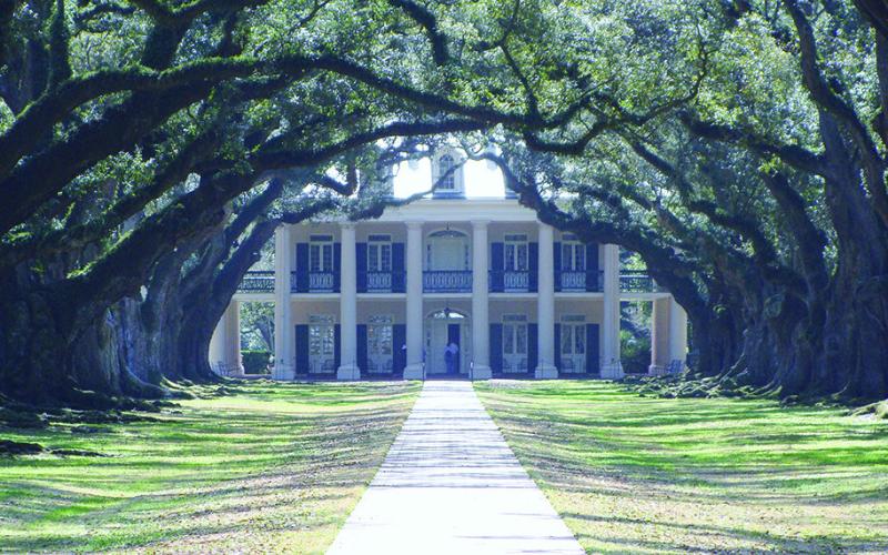 Oak Alley, like many other antebellum plantations, is reached via a long oak allee.