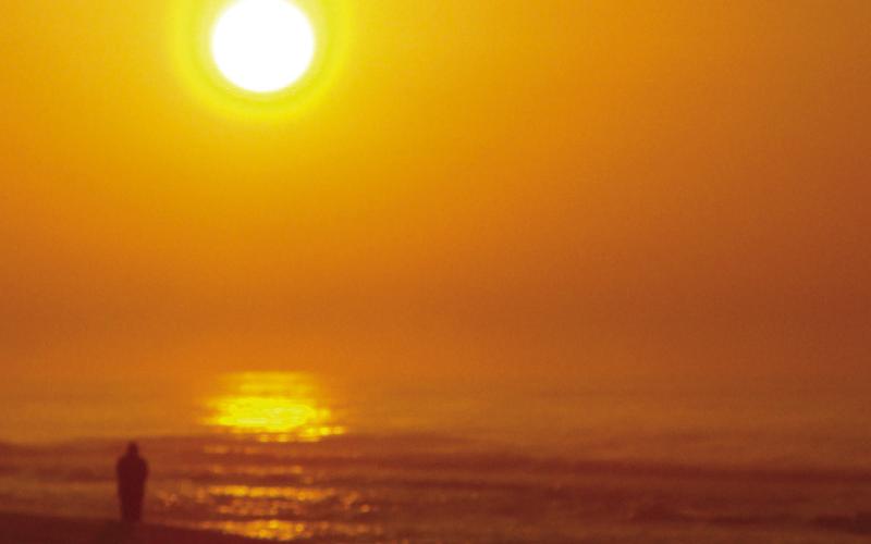 Because Santa Rosa Island runs east to west, you can choose to take a stroll on the beach at sunrise or sunset. Or both.