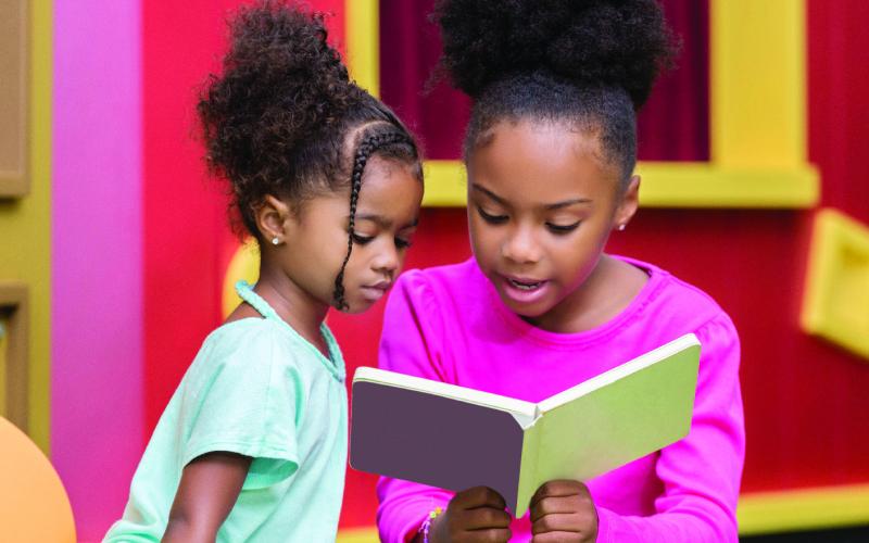 The Literacy Gap