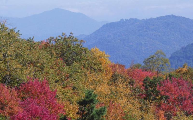 The Blue Ridge is crowded with leaf peepers every fall. Here’s why.