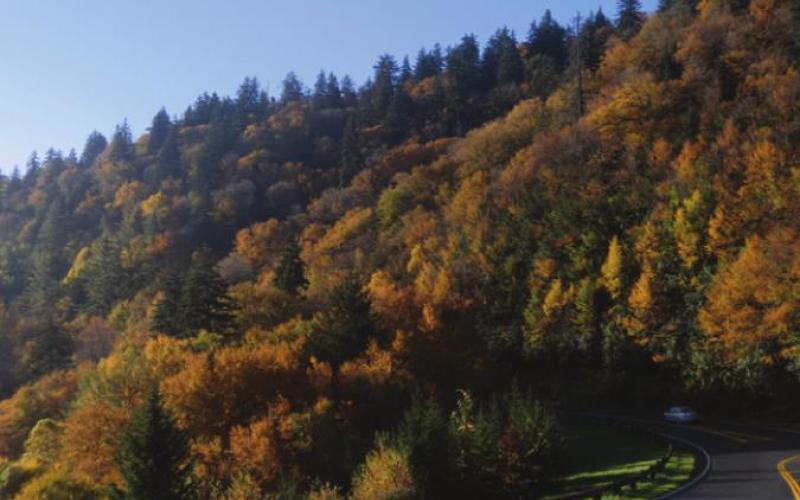 The hills are alive with the sound of music.