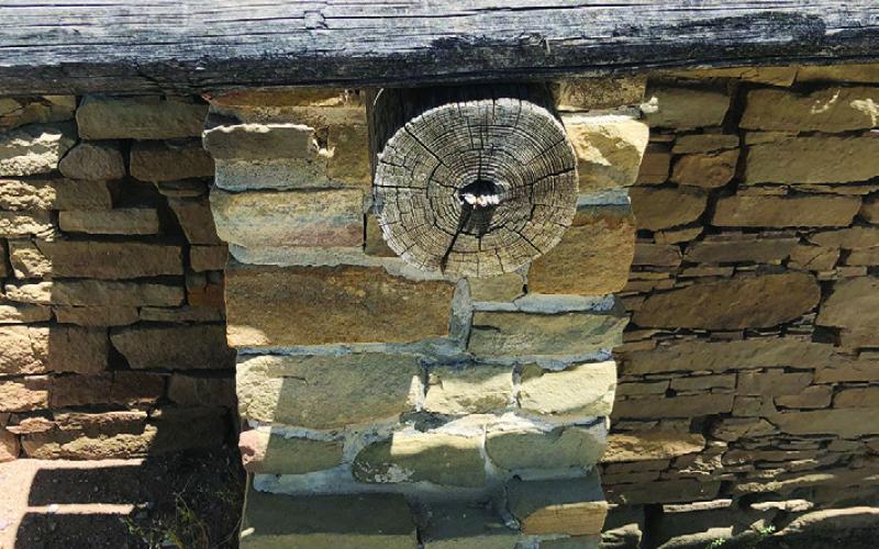 The study of tree rings is one way to establish the age of ancient structures.