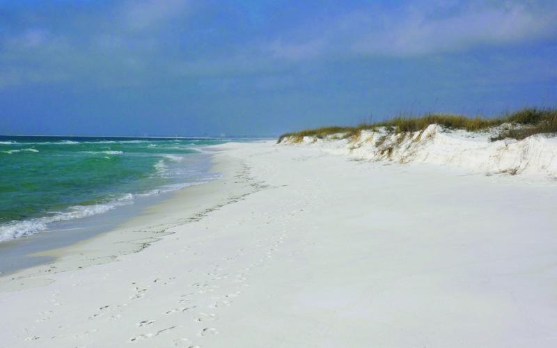 The gorgeous sand at Gulf Island National Seashore tends to close the park road when the wind picks up. They clear it with snow plows. This year they also needed to remove about eight inches of actual snow. Who woulda thunk it!