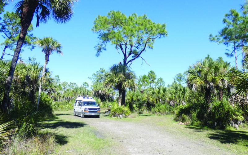 Some campgrounds squeeze you in cheek by jowl with neighbors who insist on sharing their taste in music. Our favorite sites at Bear Island offer quiet space and privacy like this.