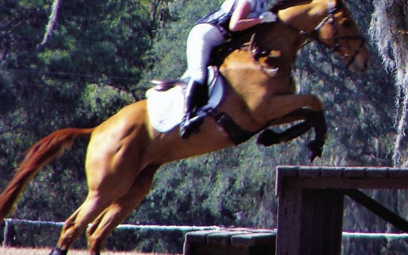 We always schedule one of our weeks at Alexander Springs during the Winter Horse Trials.