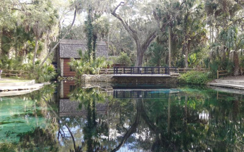 Juniper Springs has a concrete wall around the spring pool. At the outlet, there is a CCC mill house built in 1935 to generate electric power for the construction crew.