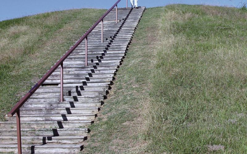 Emerald Mound is the largest of three Indian burial mounds along the Trace. That is not a natural hill. All the soil was carried by hand.