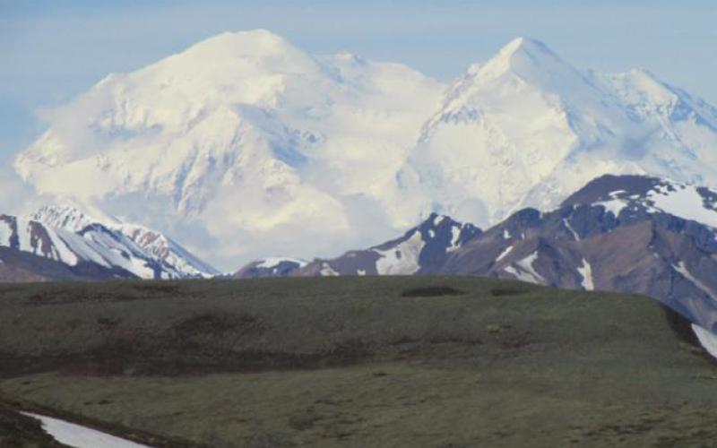 Denali towers over the mere 8,000 footers at its base.