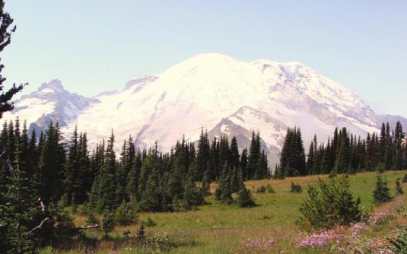 On the Sunrise side of Mt. Rainier it was clear and gorgeous. Thanks, Shirley.