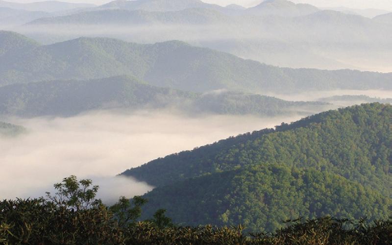 Morning fog in the mountains can be beautiful—unless you are down in it on a narrow, winding road.