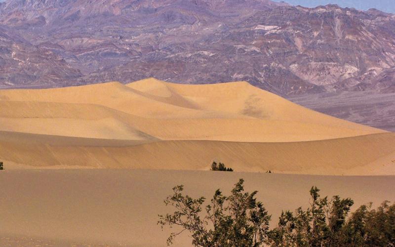 Classic desert environment in Death Valley includes constantly shifting dunes.