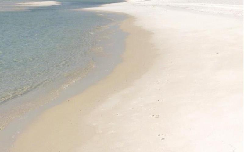 One of the real challenges is learning to tolerate the crowded beaches at Fort Pickens.