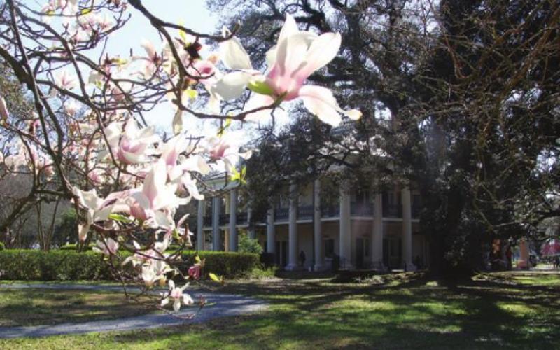 The plan is to return home via the Louisiana plantation and Cajun country and then up the Natchez Trace.