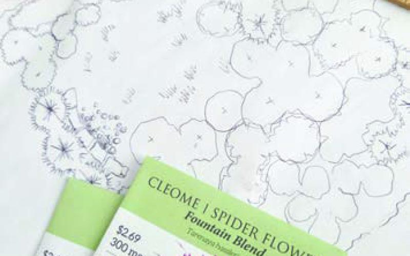 Planning your garden