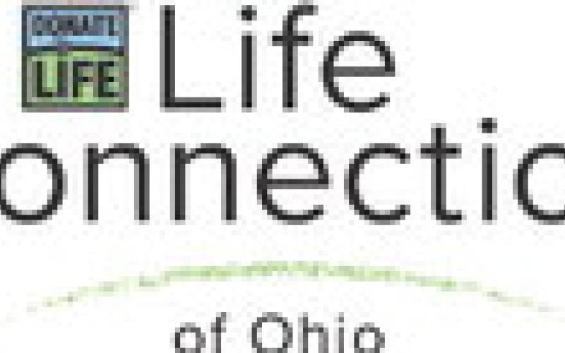 Alt Text for Image