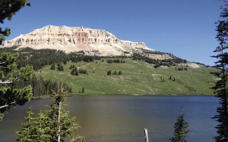 Would you complain that there was “nothing to see” if no bison or bears showed up in a place like this?