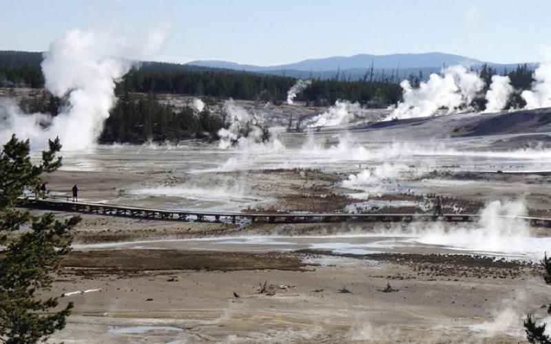 Norris Geyser Basin is the largest concentration of geothermal features in the world. Stay on the boardwalk or risk getting deep fried.