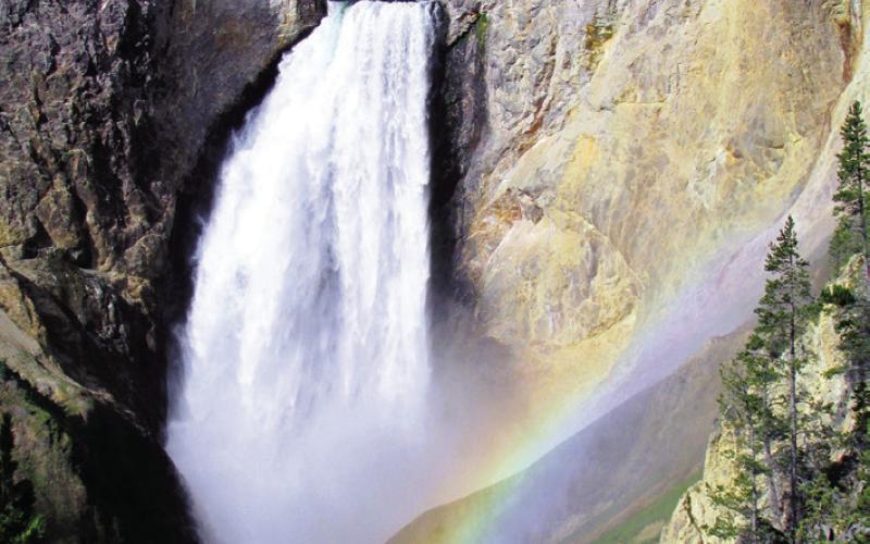 The iconic Lower Falls of the Yellowstone are viewable from a half dozen vantage points. Arrive in early morning or take a trail to one of the places tour passengers are not offloaded.