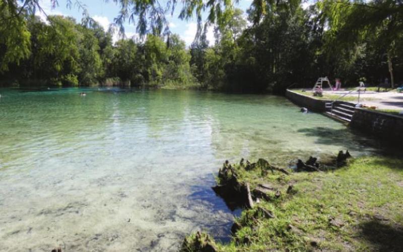 At Alexander Springs, water bubbling up at a constant 72 degrees year round attracts swimmers to the shallow lake. The lake is lined by palms and bald cypress trees.