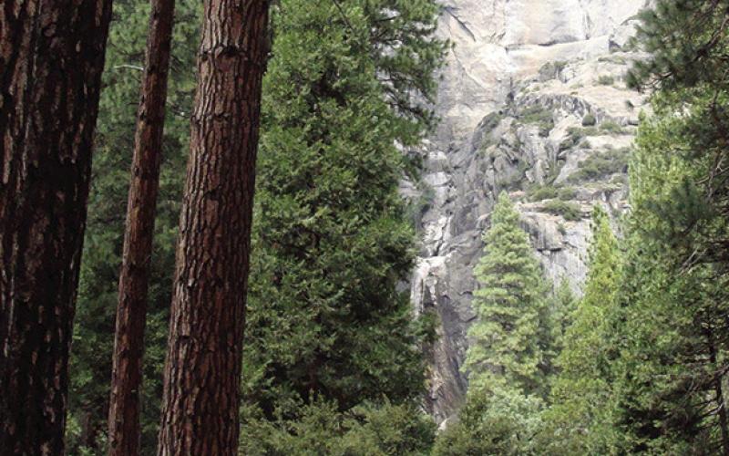 Yosemite Fall would have been impressive if there had been any.