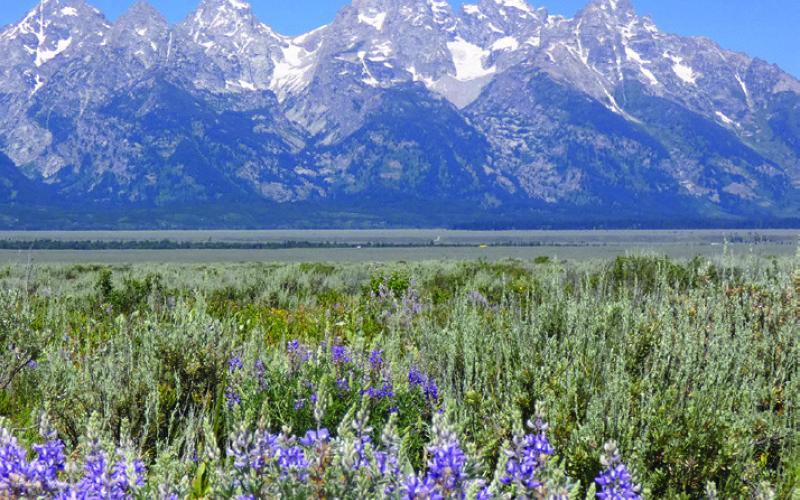 Would you bother visiting Grand Teton NP if you knew it was Yellowstone’s close neighbor to the south?
