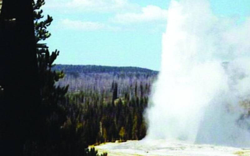 You could elbow your way through the crowd to see the eruption of Old Faithful. We prefer to share a bear berry ice cream on the upper deck of Old Faithful Inn.