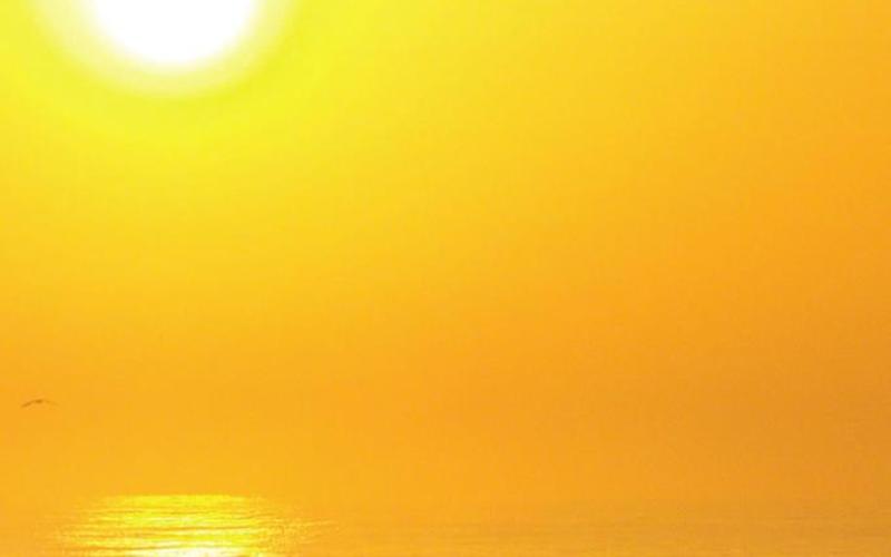 A quiet sunrise walk on the beach is a great way to start the day.