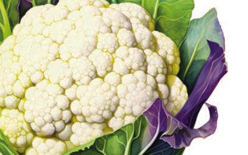 cauliflower