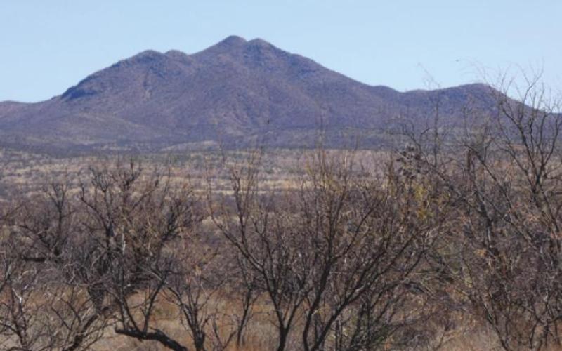 Mesquite is not what you would call pretty in winter. Or any other time.