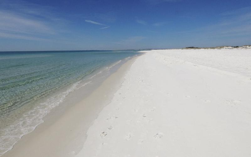 Not everyone appreciates the beauty of a beach where nothing is happening.